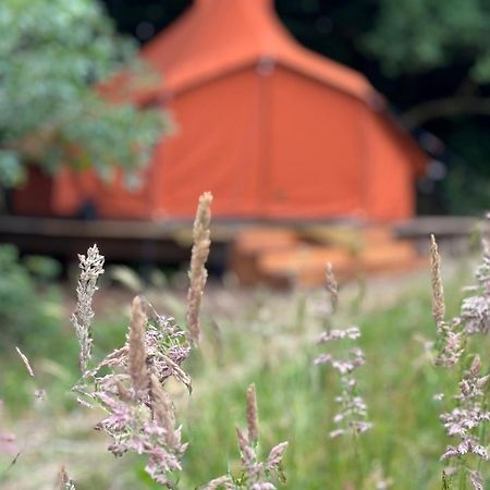 Rode Bell Achter Duin 't Horntje Exterior foto