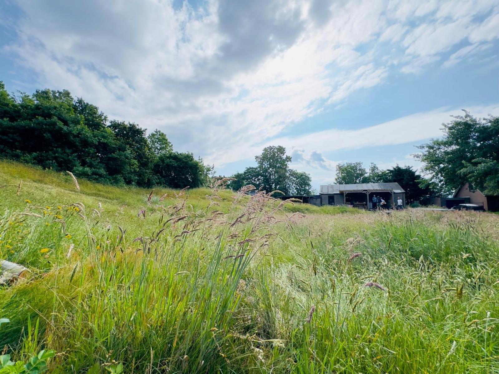 Rode Bell Achter Duin 't Horntje Exterior foto